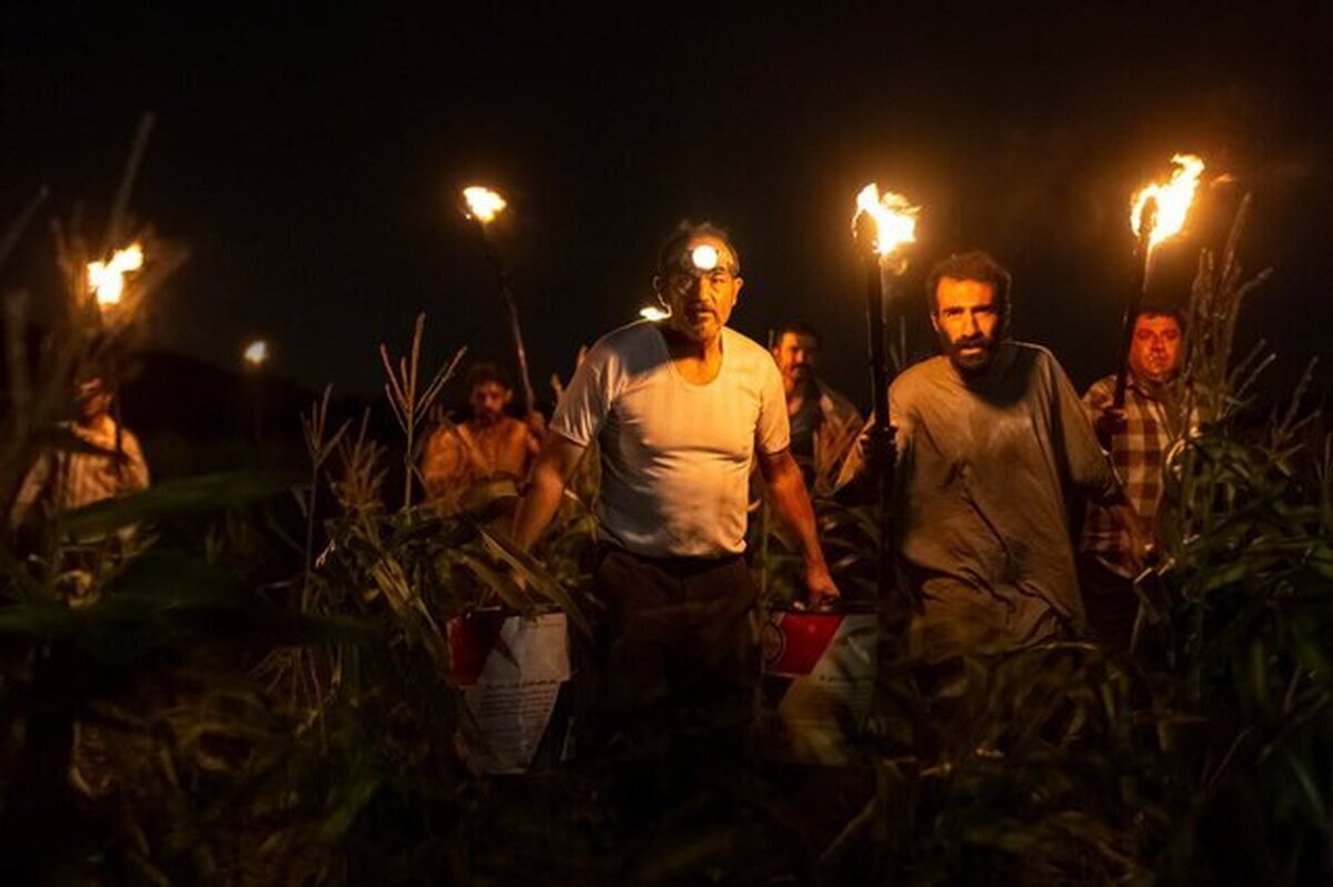 نقد و بررسی فیلم «بی سر و صدا» +حواشی نقد و بررسی فیلم «بی سر و صدا» +حواشی