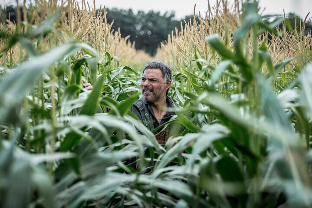 نقد و بررسی فیلم «بی سر و صدا» +حواشی نقد و بررسی فیلم «بی سر و صدا» +حواشی