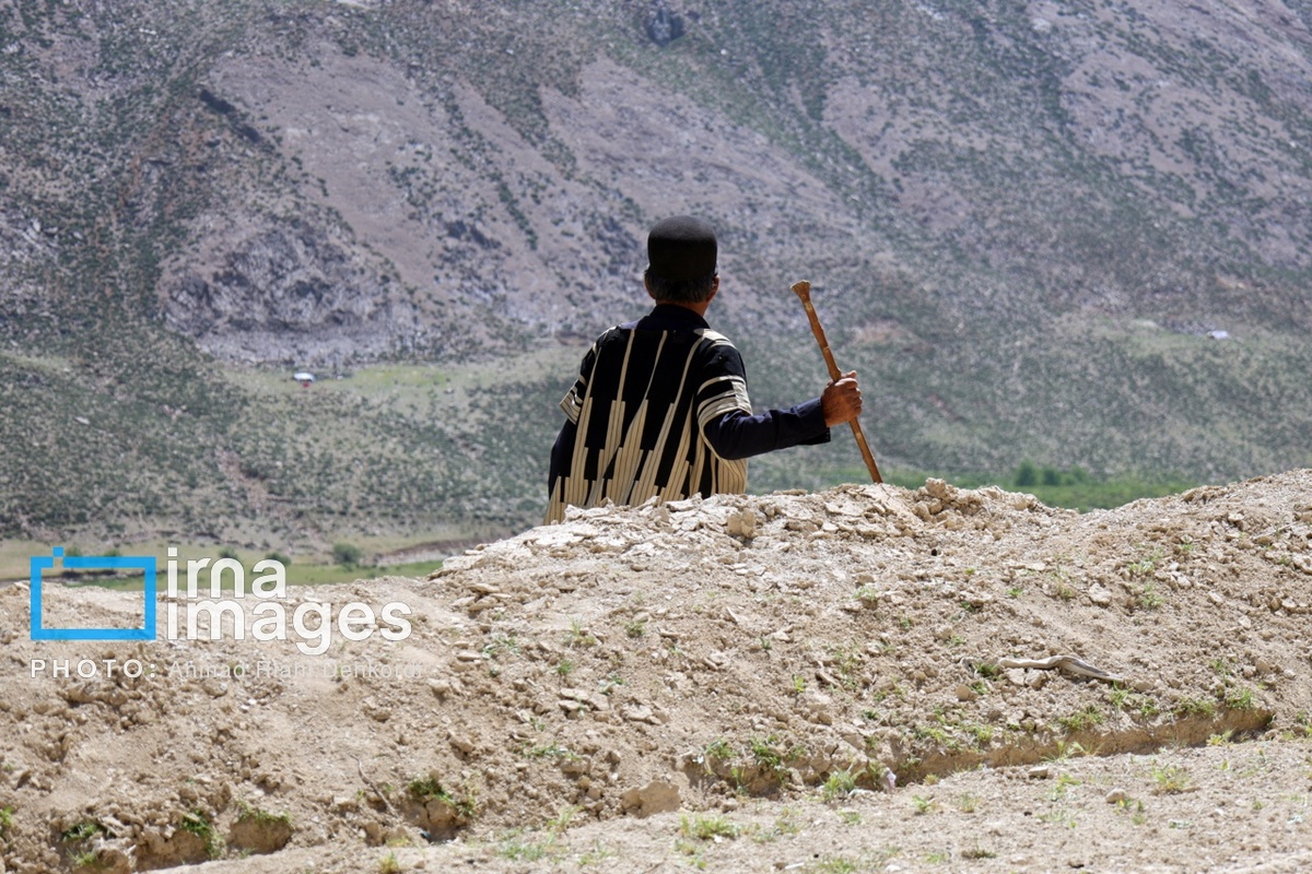 ۲ برنامه اجرایی دولت برای حمایت از کشاورزان