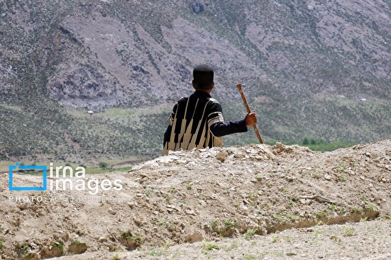 ۲ برنامه اجرایی دولت برای حمایت از کشاورزان