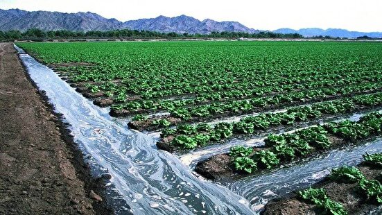 تأمین بیش از ۹۰ درصد آب کشاورزی ایران از آبیاری/نوآوری داخلی و اشباع بازار با تولیدات باکیفیت