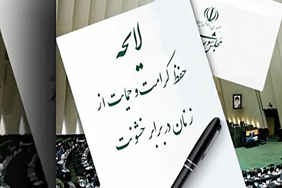 دولت لایحه حمایت از زنان را پس نگرفته است