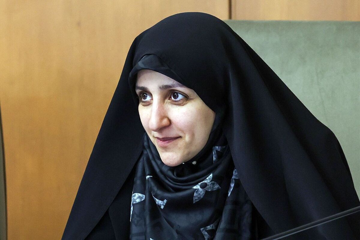 ویدئو: معطل مجلس نمی‌مانیم / برنامه جامع حمایت از زنان در برابر خشونت در دستور کار دولت است