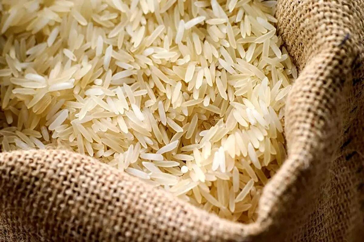 علت گرانی قیمت برنج چیست؟