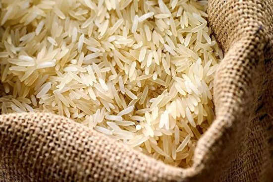 علت گرانی قیمت برنج چیست؟