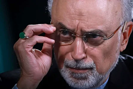 ایده کنسرسیوم هسته‌ای از قبل انقلاب مطرح است