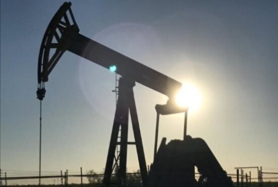 در آستانه دیدار ترامپ و زلنسکی در کاخ سفید، قیمت نفت ثابت ماند