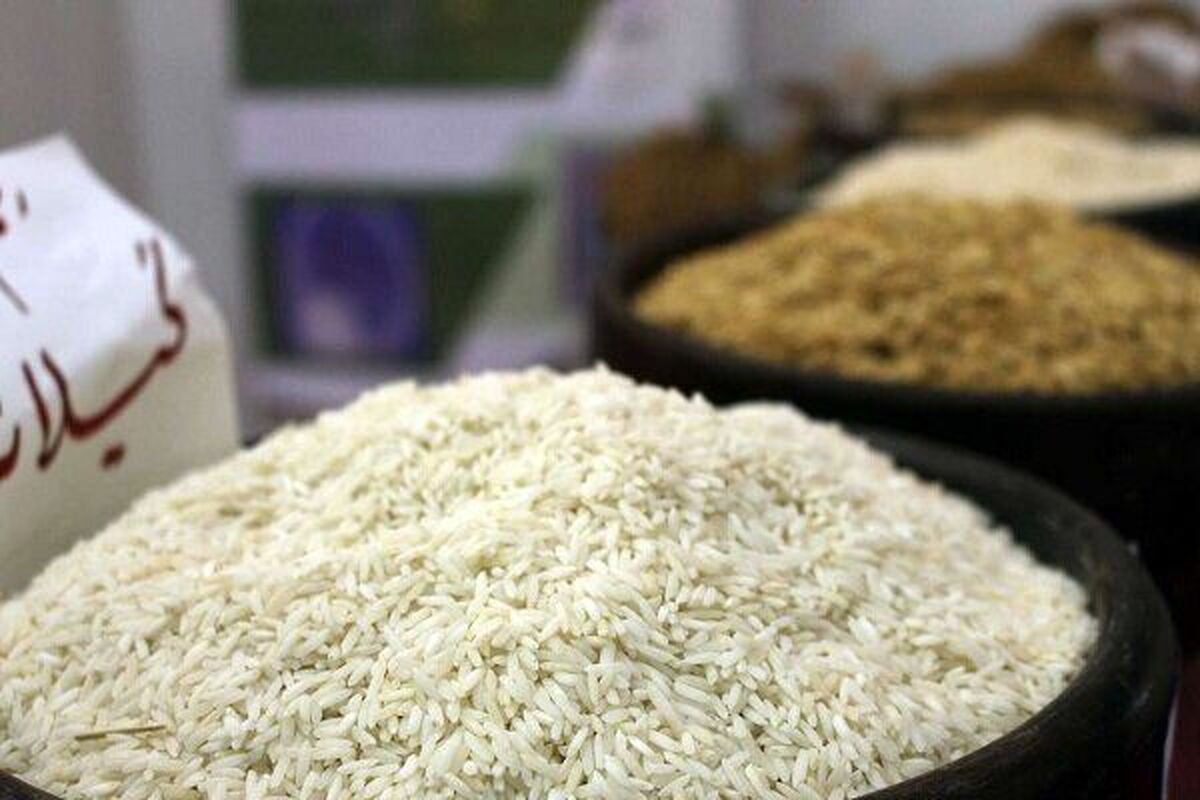 قیمت برنج شمال در بنکداری‌ها ۳۵ درصد کاهش یافته است
