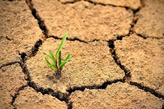 یکی از علل اصلی بیابانزایی استفاده نامناسب از منابع آبی است
