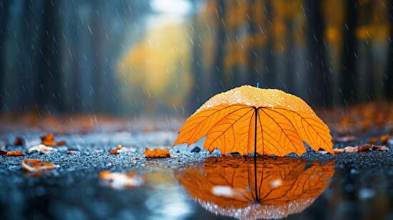 بارش نرمال و دمای تقریبا نرمال از نیمه آبان تا نیمه آذر ۱۴۰۴