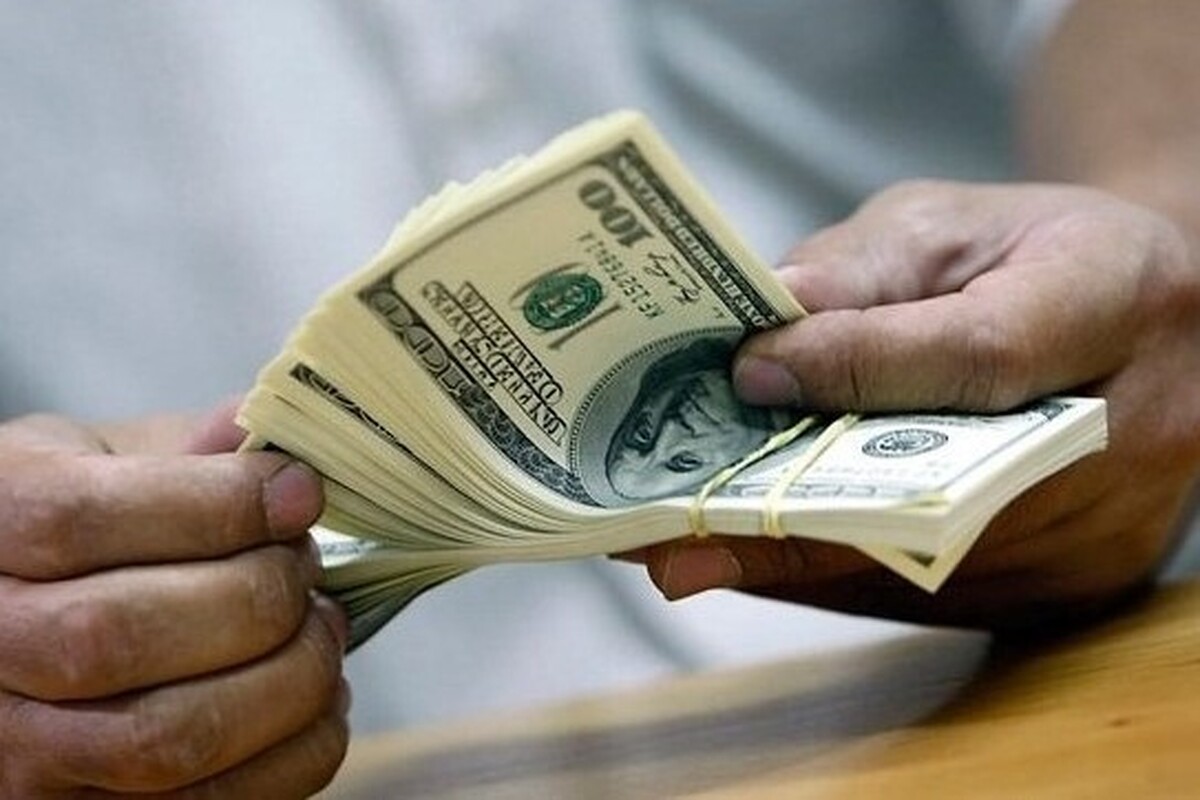 تک نرخی شدن ارز در شرایط فعلی به صلاح نیست