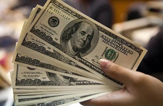 فاصله ۳۰ هزار تومانی ارز آزاد و مبادله‌ای رانت‌زا است
