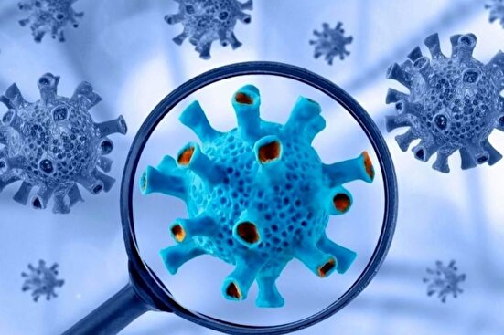 پاییز و سویه‌های جدید کووید