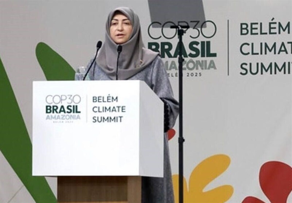 توضیح سازمان محیط زیست درباره هزینه سفر هیئت ایرانی به اجلاس کاپ ۳۰ برزیل