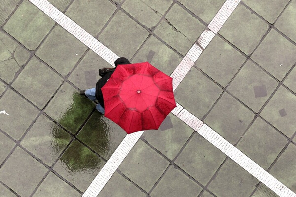 راه‌حل فوری عبور از کم‌آبی از زبان محمد درویش/با بارش باران مشکل ما حل نمی‌شود