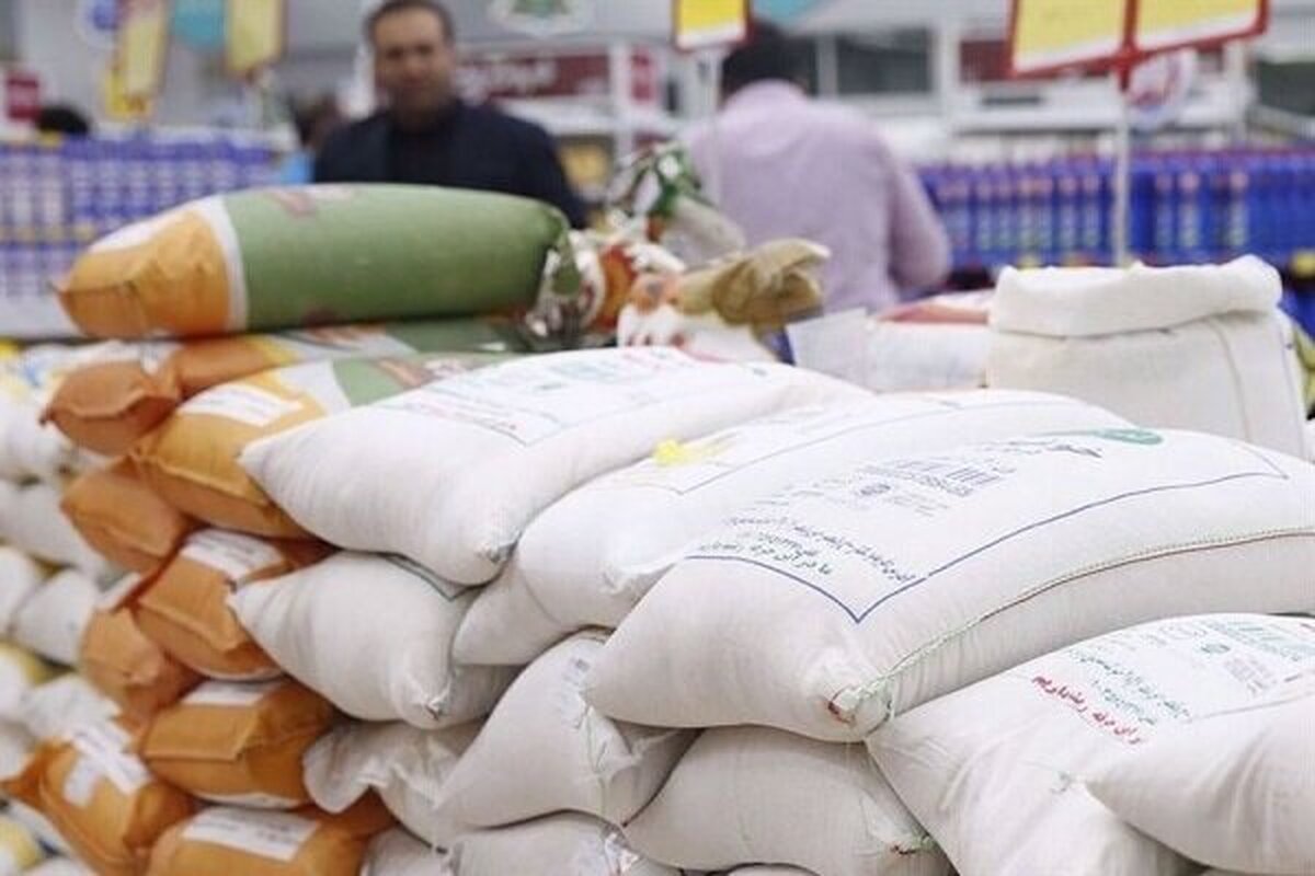 ابلاغ دوباره لغو ممنوعیت ترخیص برنج در فصل برداشت