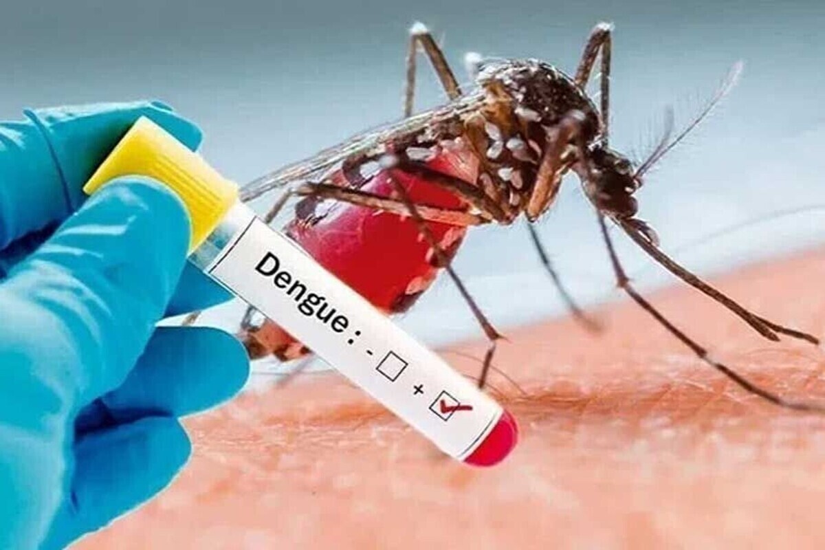 تب دنگی در هرمزگان رو به افزایش/ شمار مبتلایان به ۲۳۲ نفر رسید