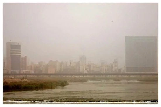 اگر آلودگی هوا بیشتر از این شود، کشتار می‌کند