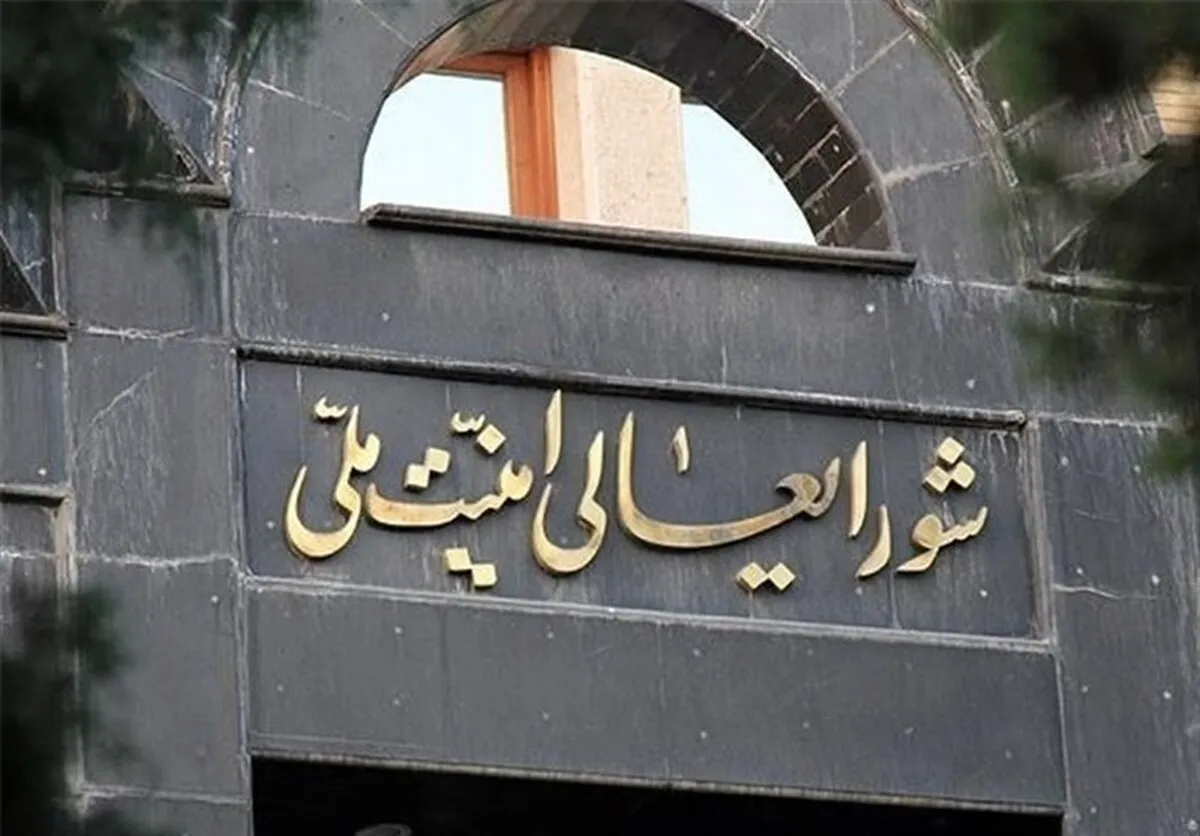 شورای عالی امنیت ملی در مسائل مهم امنیتی می‌تواند به مجلس اعتنا نکند