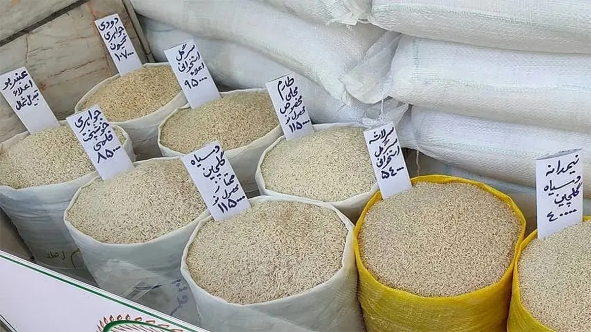 پیش‌بینی کاهش قیمت برنج از ۱۵۰ به ۱۰۰ هزار تومان با واردات استانی