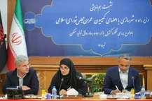 خانه‌دار کردن تمام مردم تنها با هم‌افزایی همه دستگاه‌ها میسر است