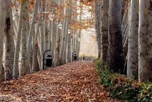 وضعیت دما و بارش کشور تا اوایل آبان‌ماه سال جاری چگونه خواهد بود؟