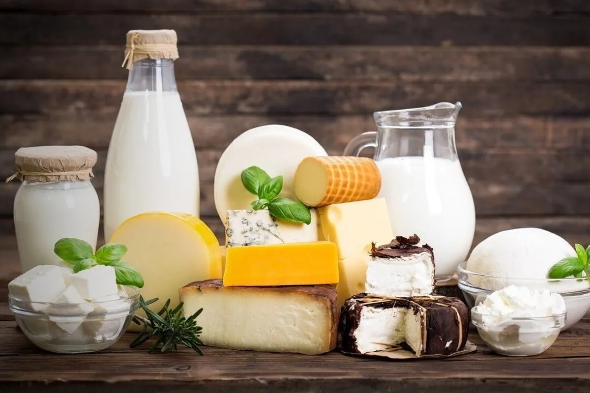 کاهش قیمت لبنیات در پی تصویب نرخ جدید شیرخام