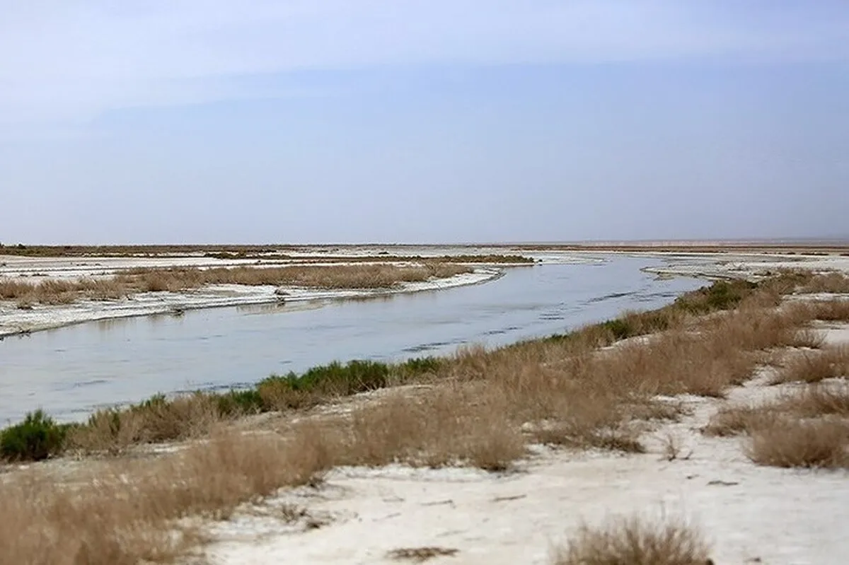 خشکی تالاب‌ها نشان‌دهنده عدم مدیریت مصرف آب است