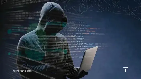 استرداد یک زن به اتهام کلاهبرداری در زمینه رمز ارز به کشور با ۱۴۰ شاکی