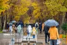 ال‌نینو باران را به ایران می‌آورد/پیش‌بینی افزایش ۷۰ درصدی بارش‌ها