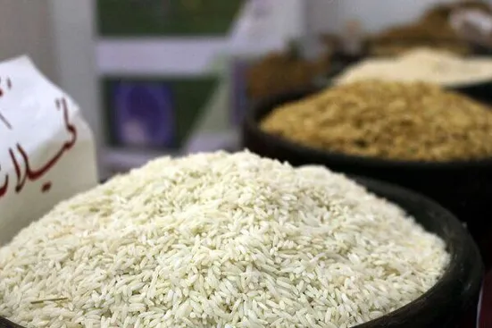 قیمت برنج شمال در بنکداری&zwnj;ها ۳۵ درصد کاهش یافته است