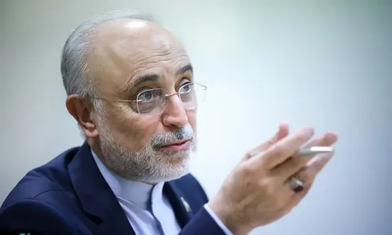 در افکار عمومی جهانیان جوری جا&zwnj; می&zwnj;اندازند که نزاع فعلی، یک نزاع بین ایران و اسرائیل است در حالی که این یک جدال بین اسرائیل با فلسطینیان صاحب حق است