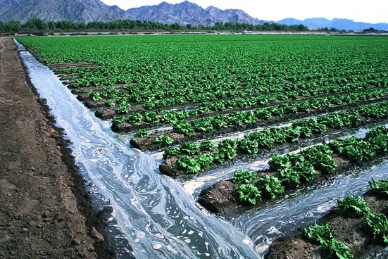 سهم ۹۰ درصدی کشاورزی در مصرف آب