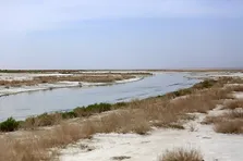 خشکی تالاب‌ها نشان‌دهنده عدم مدیریت مصرف آب است