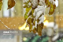 افزایش غلظت آلاینده‌ها و تداوم سرما در تهران