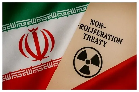 پایداری&zwnj;چی&zwnj;هایی که نسخه خروج از NPT می&zwnj;نویسند، بلدند هزینه&zwnj;های این کار را حساب کنند؟