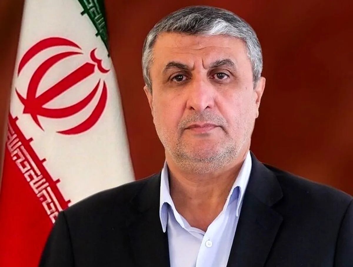 ایران راکتور بومی با سوخت ایرانی می‌سازد