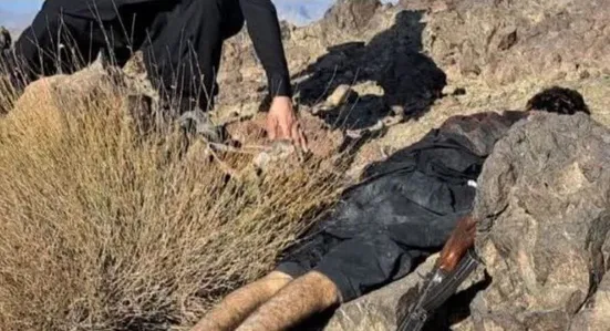 سرکرده تروریست&zwnj;های حادثه تفتان کشته شد