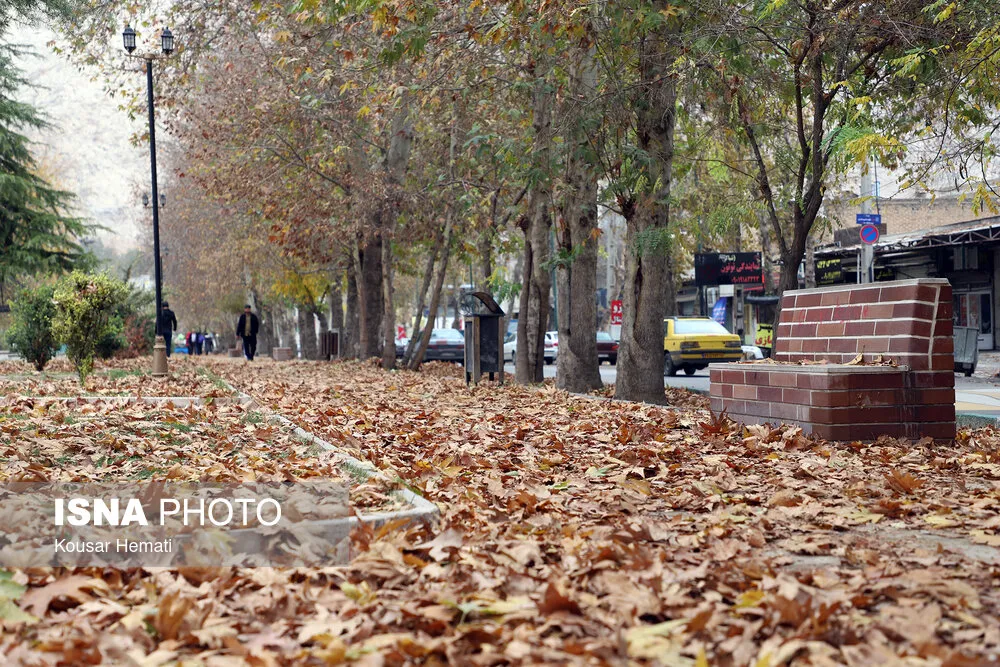 پاییز

