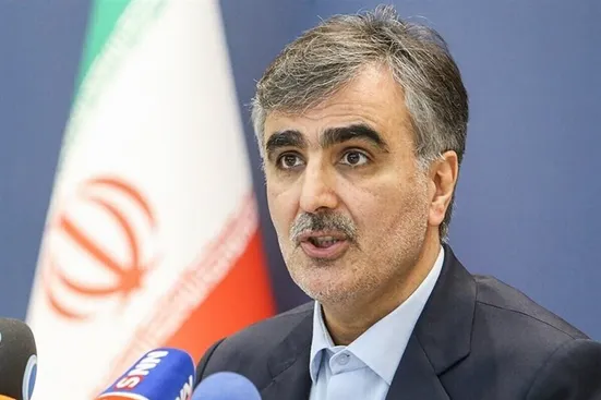 فرزین: ناترازی بانک&zwnj;ها ناشی از ورشکستگی نیست