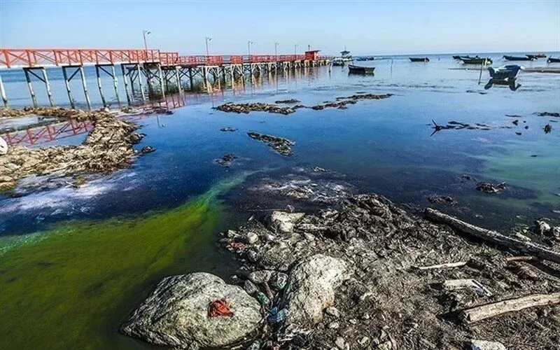 سازمان محیط زیست در خصوص توقف طبیعت‌گردی در آشوراده پاسخگو باشد