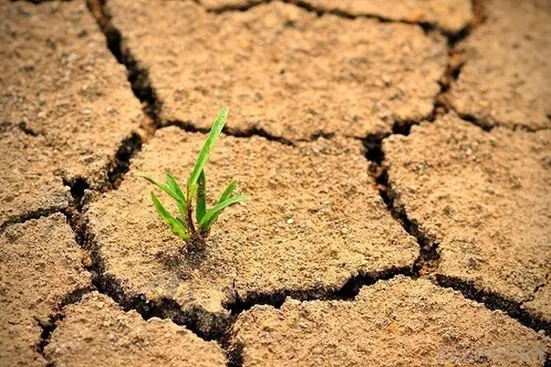 یکی از علل اصلی بیابانزایی استفاده نامناسب از منابع آبی است