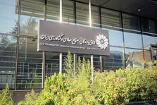 مشکل بازگشت هم‌وطنان از دبی حل شد/بازگشت ۳۴۰ شهروند ایرانی به میهن