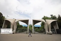 آزادی ۵ دانشجوی بازداشتی دانشگاه تهران/هیچ پرونده انضباطی طی دو ماه اخیر ثبت نشده است