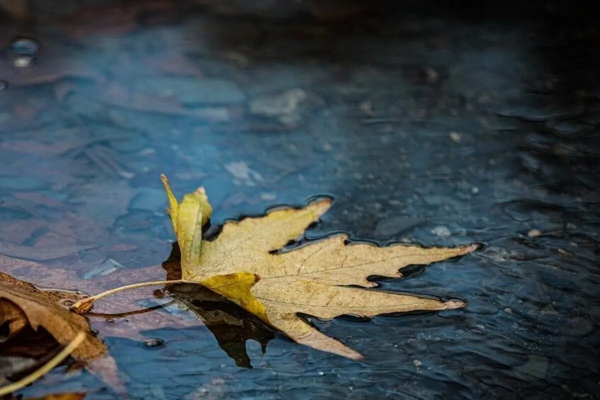 وضعیت دما و بارش کشور تا آذرماه ۱۴۰۴ چگونه خواهد بود؟