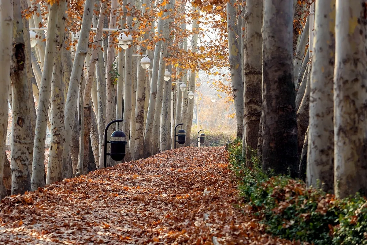 وضعیت دما و بارش کشور تا اوایل آبان‌ماه سال جاری چگونه خواهد بود؟