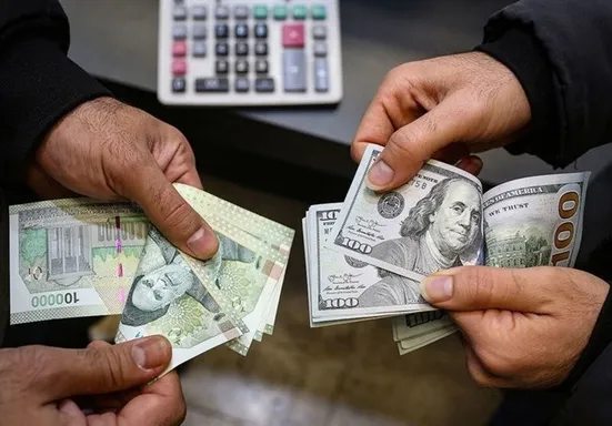 نرخ کنونی دلار، نرخ ارز نیست، &laquo;نرخ ترس&raquo; است