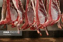 موضوع فروش گوشت الاغ اکنون تنها به منظور ایجاد یک جو روانی است/وفور گوشت قرمز در کشور