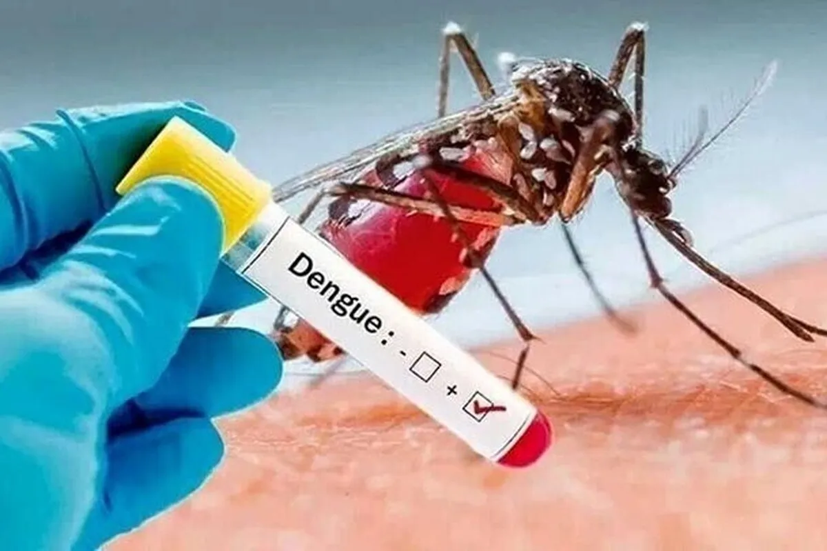 شمار مبتلایان به تب دنگی در هرمزگان، به ۲۲۵ نفر رسید