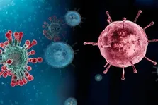 سویه‌های کنونی کرونا خطرناک نیستند